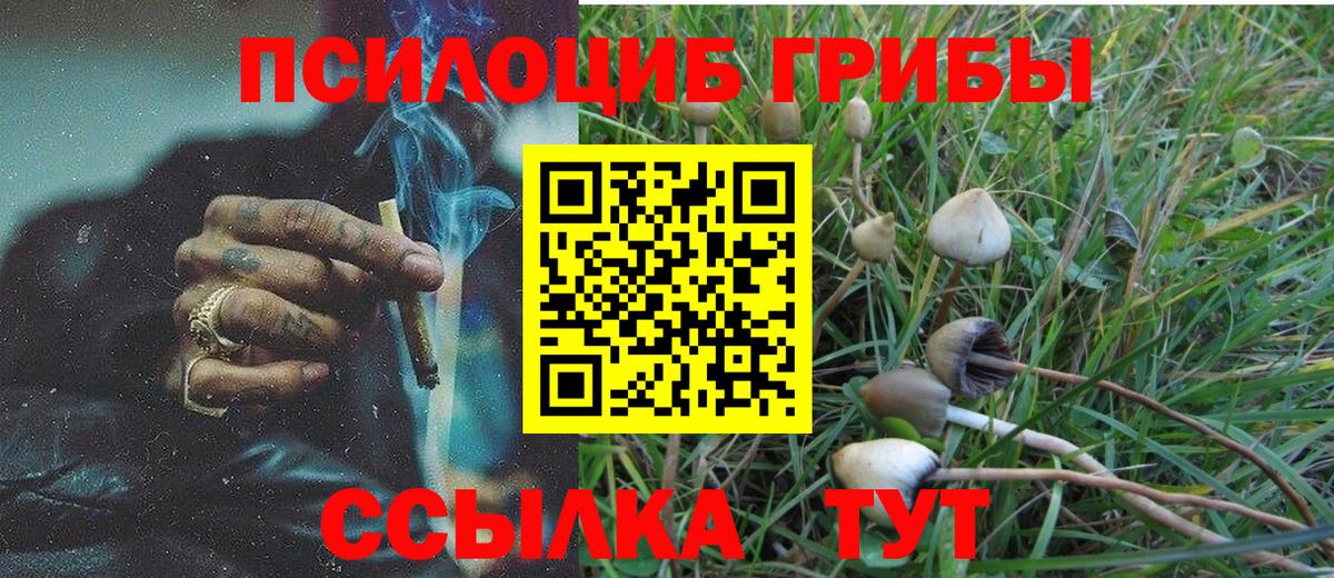 Партизанск  Галлюциногенные грибы Magic Shrooms  Вход с VPN 